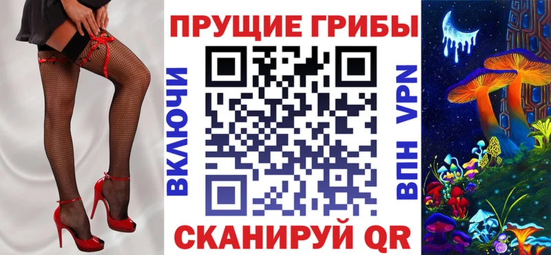 Галлюциногенные грибы Psilocybe  Лысьва 